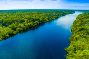 Grand Amazon Expedition Cruise da Iberostar