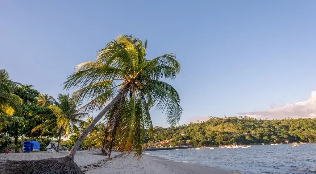 praias de pernambuco